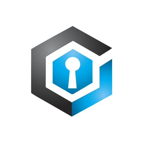 Cyber Allegiance